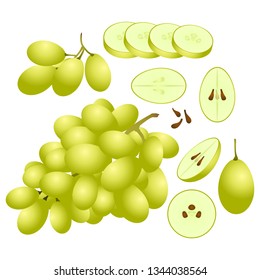 Green grape vector illustration set. Whole, sliced and halved Green grape graphics.