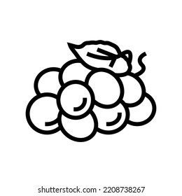 green grape wine line icon vector. green grape wine sign. isolated contour symbol black illustration