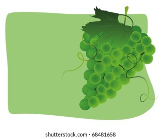 Green grapes
