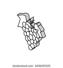 vector de icono isométrico de racimo de uvas verdes. símbolo aislado ilustración