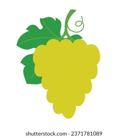 racimo de uvas verdes. Simple ilustración de una fruta con una hoja grande. Ilustración vectorial minimalista, icono estilizado. Mejor para banner, diseño, diseño, paquete