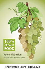 Cintas verdes con hojas verdes aisladas en blanco - ilustración vectorial.