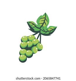 diseño de uvas verdes sobre blanco