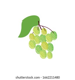 uvas verdes uvas exóticas de tipo plano ilustración vectorial