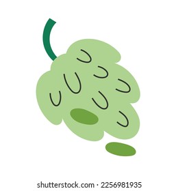 Green grapes fruit illustration isolated on white background. Simple hand drawn art, doodle icon, healthy food clipart