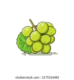 Green grapes fruit vector illustration isolated on white background