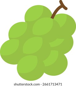 Ilustración vectorial de frutas de uvas verdes