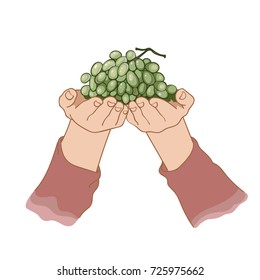 Green grapes in hand