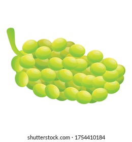 Das Symbol für grüne Weintrauben. Cartoon auf grünem Weintrauben Vektorsymbol für Webdesign einzeln auf weißem Hintergrund