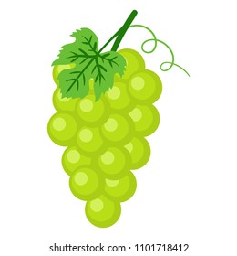 Green Grapes Illustration - Bunch of green grapes with stem and leaf isolated on white background