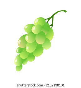 Ilustración de uvas verdes aisladas en fondo blanco. Frutos de verano para un estilo de vida saludable. Ilustración vectorial de estilo de dibujos animados.