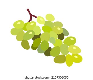  green Grapes Illustration. Vector Illustration. Icon. Bunch of  grapes with stem and leaf isolated on white background