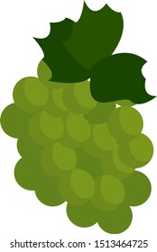 Uvas verdes, ilustración, vector sobre fondo blanco.