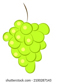Icono aislado de las uvas verdes. Ilustración vectorial.
