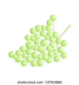 Green grapes isolated vector