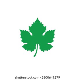 Green grapes leaf silhouette vector flat design on white background.
