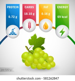 Green grapes nutrients vector. Protein, carbs, fat, energy