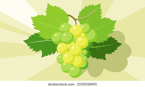 Uvas verdes sobre fondo verde de la naturaleza con los rayos del sol. Uvas frescas. Ilustración vectorial de uvas de vino sobre fondo de la naturaleza.