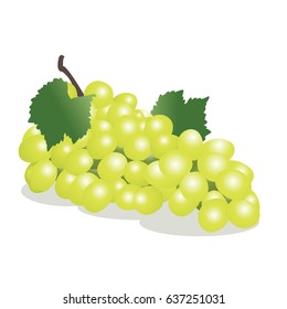 green grapes on white background