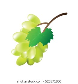 Green grapes on a white background,vector design.