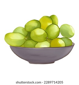 Green Grapes on Wooden Bowl Isolated Hand Drawn Painting Illustration