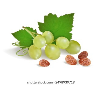 Green grapes and raisins on a white background. Vector illustration