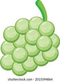 Arte vectorial de uvas verdes e ilustración