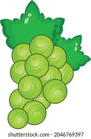 Green grapes vector art and illustration