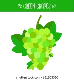 Green Grapes Vector illustration.