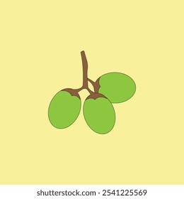 Green Grapes vector illustration on yellow background. Healthy fresh fruits