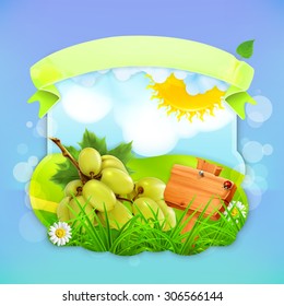 Green grapes, vector label design