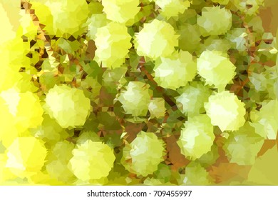 Green grapes. A vector mosaic of small triangle pieces.