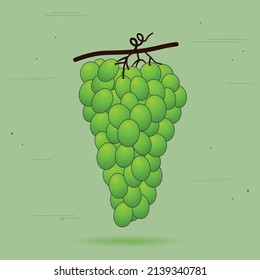 Green Grapes Viticulture vector illustration