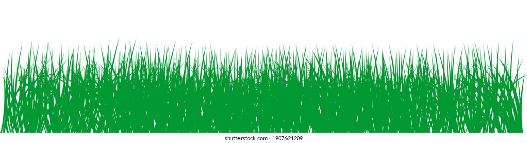 Green gras vector on isolated white background.
For Background , Easter greetings, calendar, wallpaper etc.