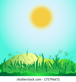  Green grass. 
