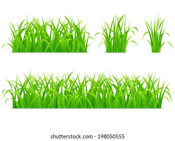 Green grass.