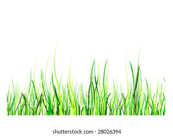 green grass