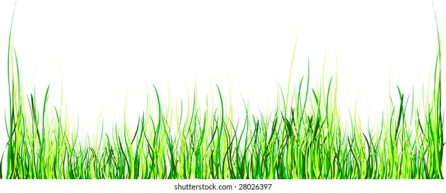 green grass