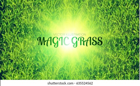 Green Grass Abstract Background with Magic Lights. Nature Space. Vector illustration