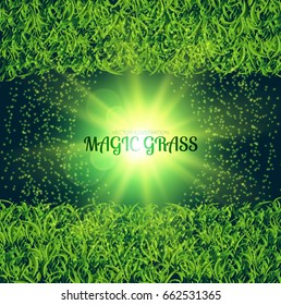 Green Grass Abstract Background with Magic Lights. Nature Space. Vector illustration