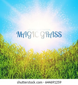 Green Grass Abstract Background with Sky and Shining Sun. Nature Space. Vector illustration