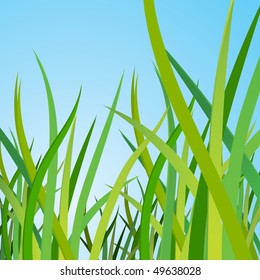 Green grass against the blue sky