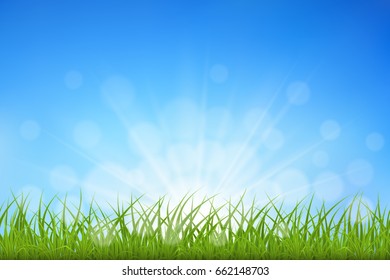 Green grass against blue sky sunbeams and bokeh background, vector illustration.