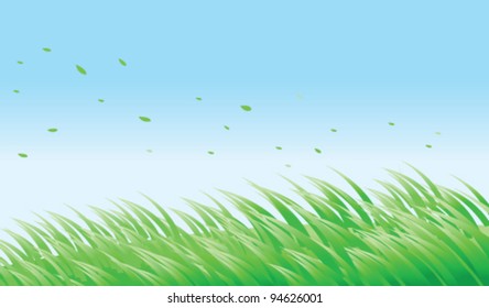 green grass against blue sky