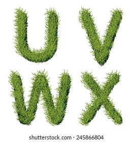 Green Grass Alphabet U V W X