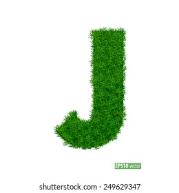 Green grass alphabet. Vector illustration.