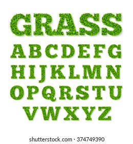 Green grass alphabet. Vector illustration.