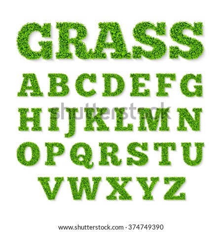 Green grass alphabet. Vector illustration.