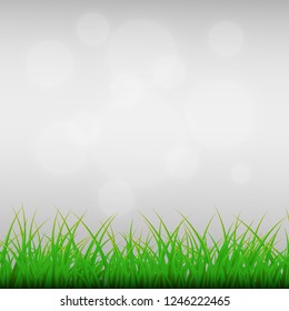 Green grass background 