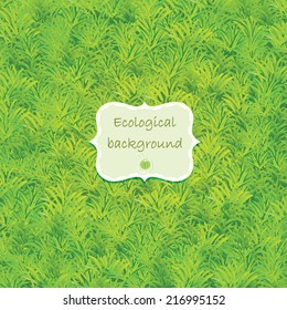 Green grass background